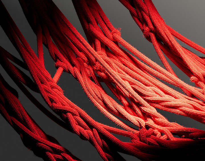 Cover image for Personal Brand - Identity & Motion on Behance