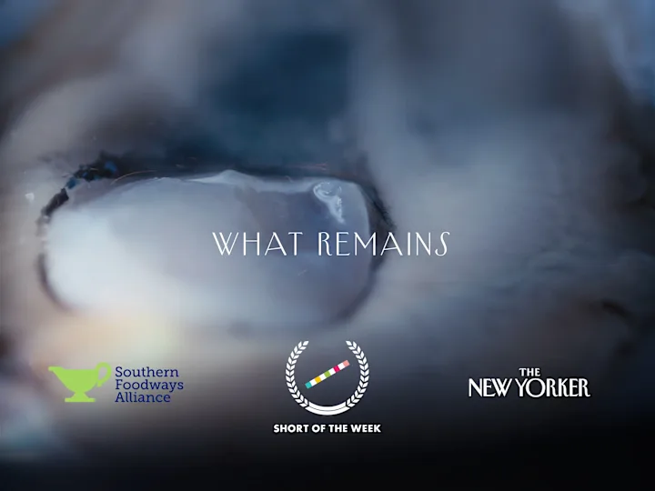 Cover image for What Remains