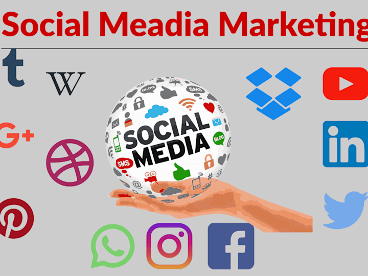Cover image for Comprehensive Social Media Campaign for Local Business