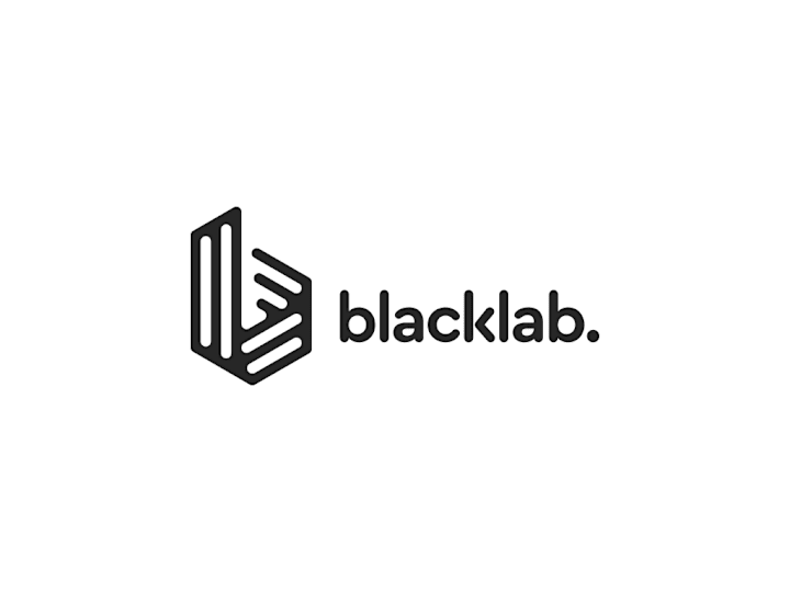 Cover image for black lab. ventures