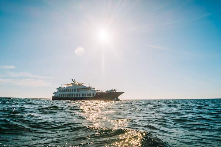 Cover image for Social Media Design for Ecoventura - Luxury Yachts in Galapagos