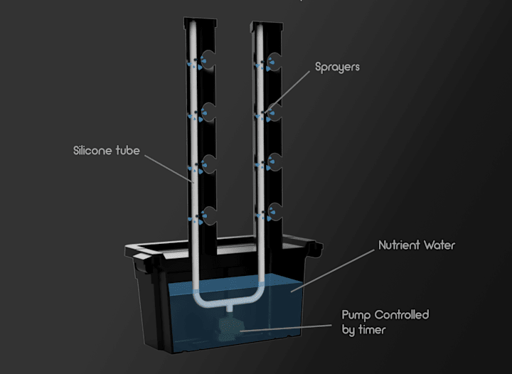Cover image for Aeroponics System Design for Cumulus Green 2022