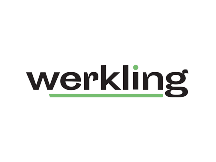 Cover image for Werkling