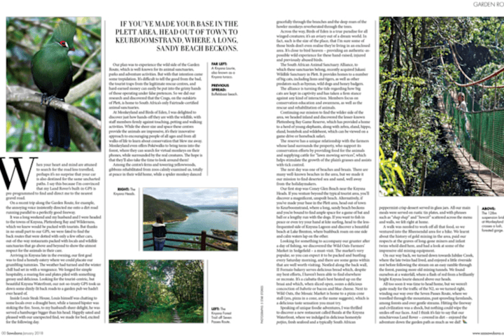 Cover image for In-flight magazine article
