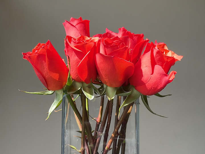 Cover image for Flowers