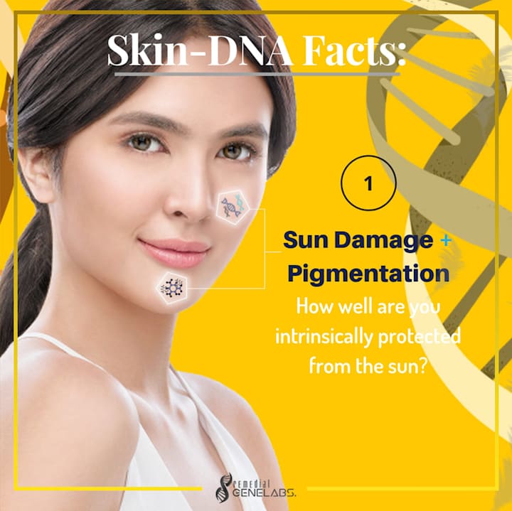 Cover image for SOCIAL MEDIA DESIGN