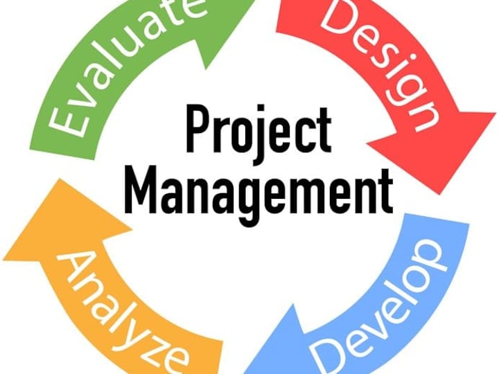 Cover image for Project Management