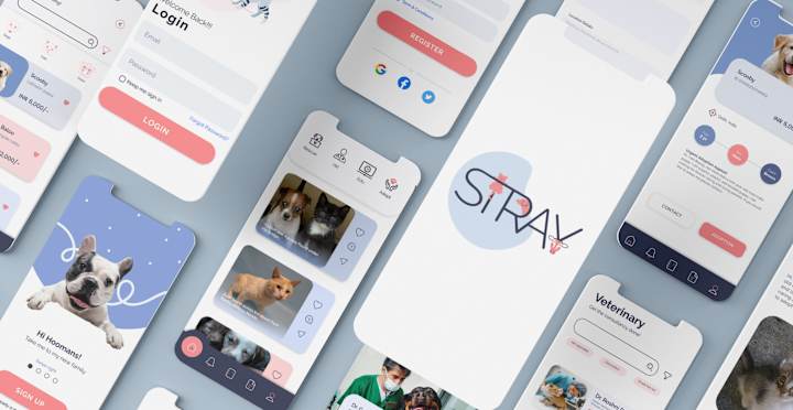 Cover image for STRAY:  the Artistry of Street Animal App Brand Identity Design
