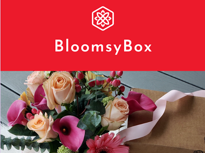 Cover image for BloomsyBox