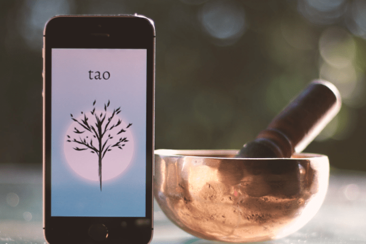 Cover image for The Pocket Tao