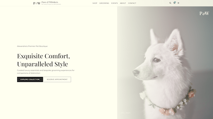 Cover image for Luxury Pet Boutique Website Concept