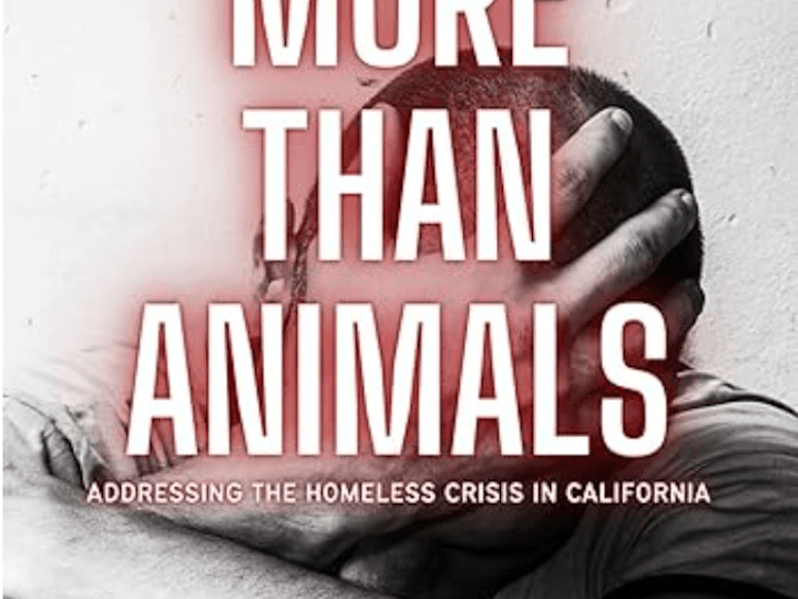 Cover image for More than Animals : Addressing the Homeless Crisis …