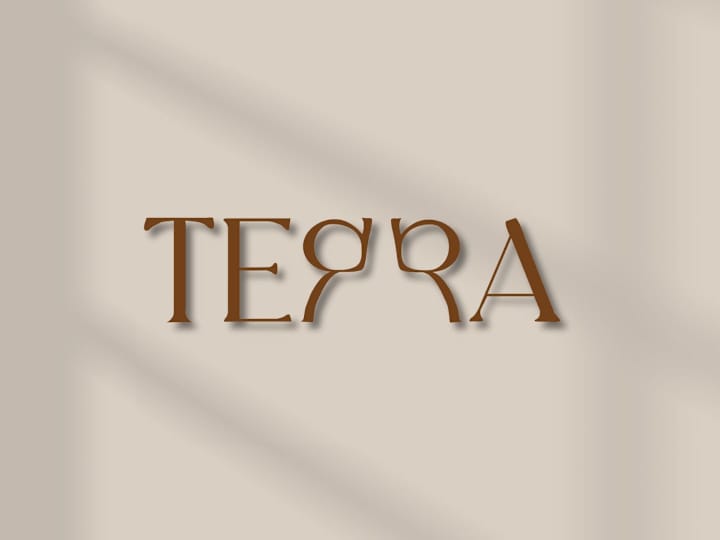 Cover image for Terra | Brand Identity Design 