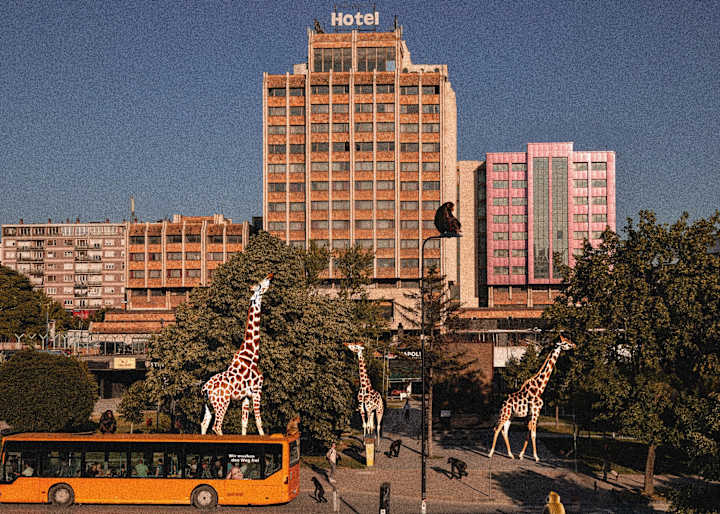 Cover image for Urban Jungle
