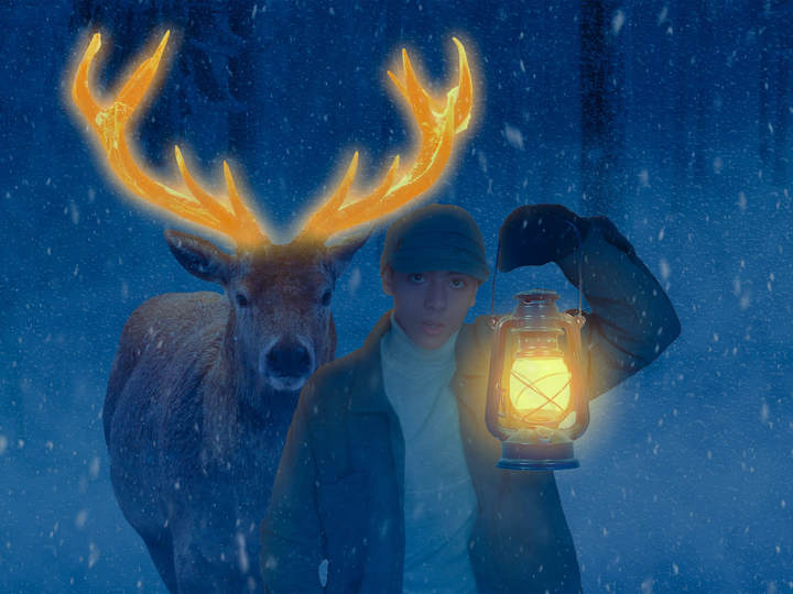 Cover image for Lost In Christmas 