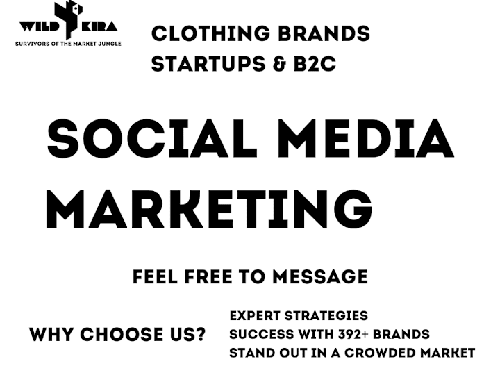 Cover image for I will develop social media marketing strategy for your brand