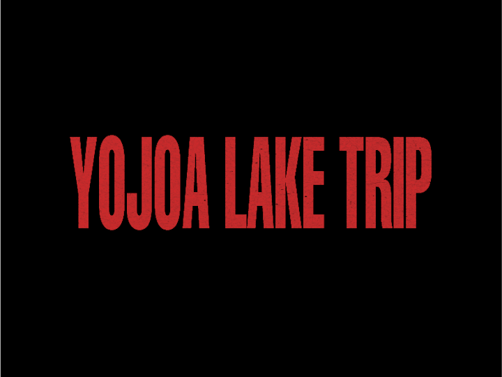 Cover image for VIDEO SHORT