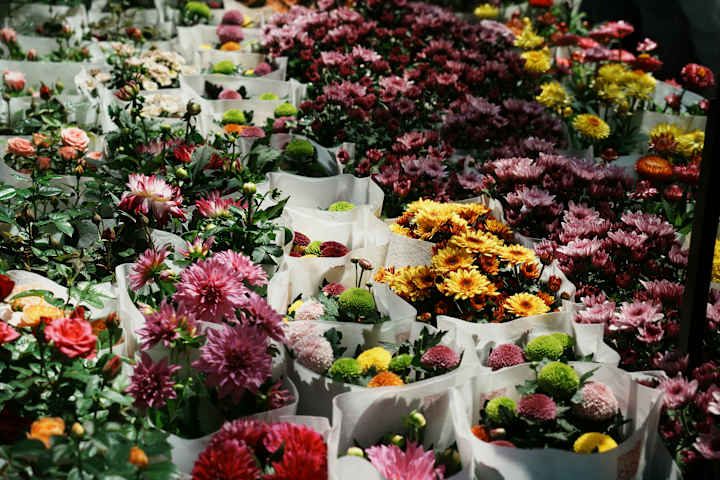 Cover image for Flower delivery Market Research