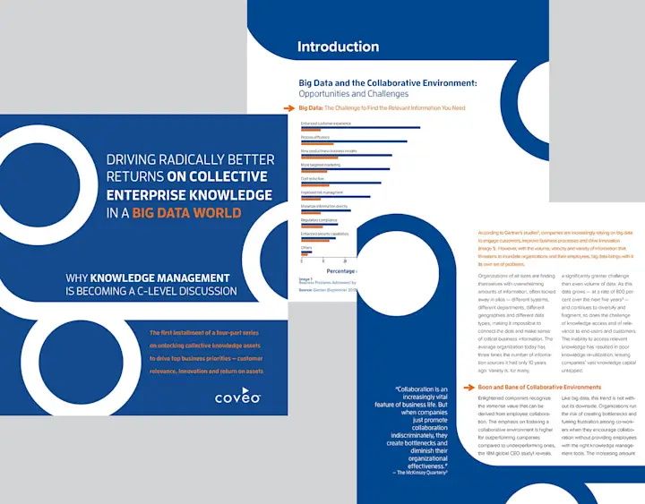 Cover image for White Paper – Better Returns on Enterprise Knowledge