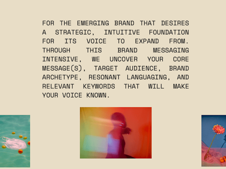 Cover image for Magnetic Brand Messaging for Visionary Brands