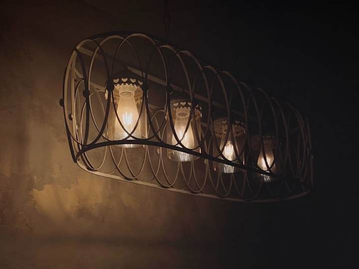Cover image for Perhaps a light when there seemed to be none