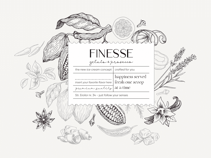 Cover image for Finesse - Visual identity