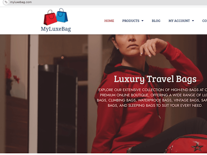 Cover image for Luxury Travel Bags