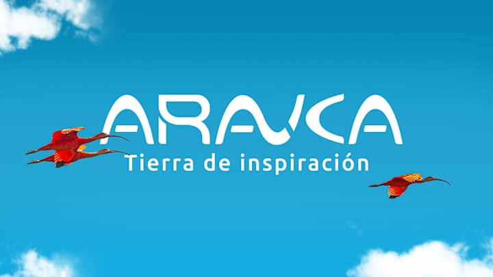 Cover image for Arauca City Brand Land of inspiration 