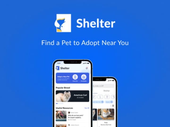 Cover image for Shelter, Online Pet Adoption