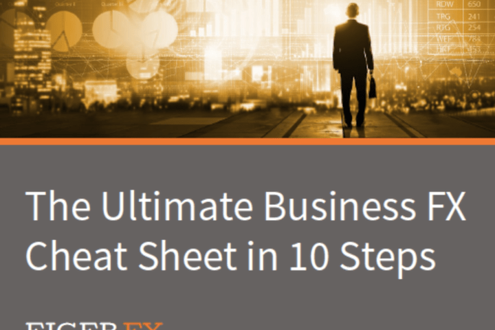 Cover image for Ebook: The Ultimate Business FX Cheat Sheet in 10 Steps