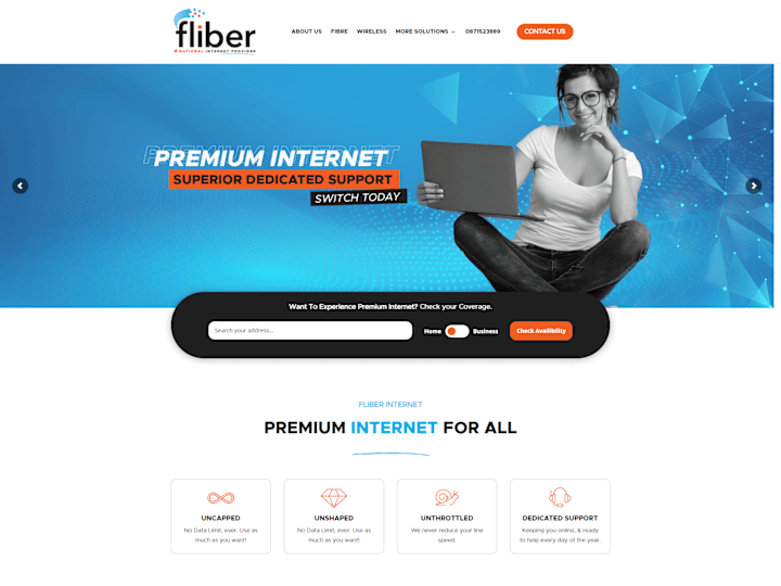 Cover image for Fliber