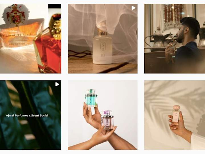 Cover image for SCENT SOCIAL