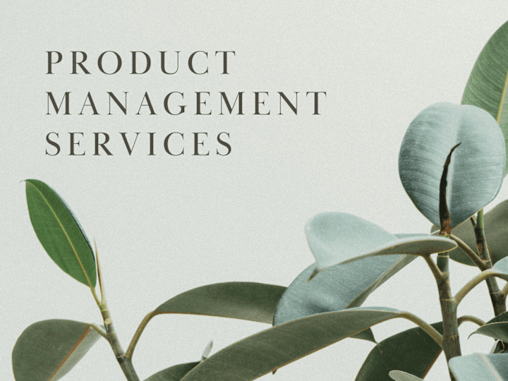 Cover image for Product Management Services