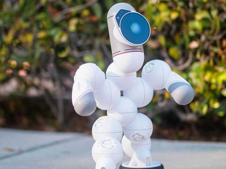 Cover image for AI's Future in Fashion