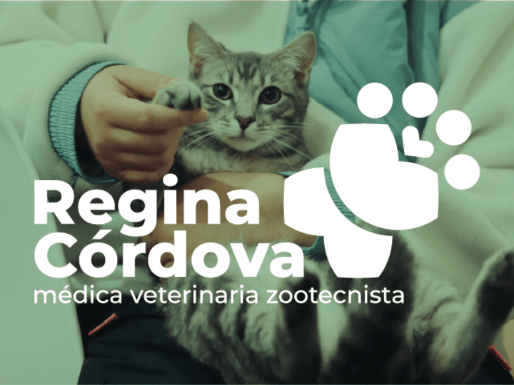 Cover image for Regina Córdova - Personal brand