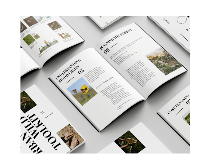 Cover image for Transform Your Vision with Expert Graphic Design