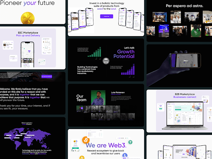 Cover image for Web3, Cannabis, SaaS, B2B, B2C - Interactive Landing Page