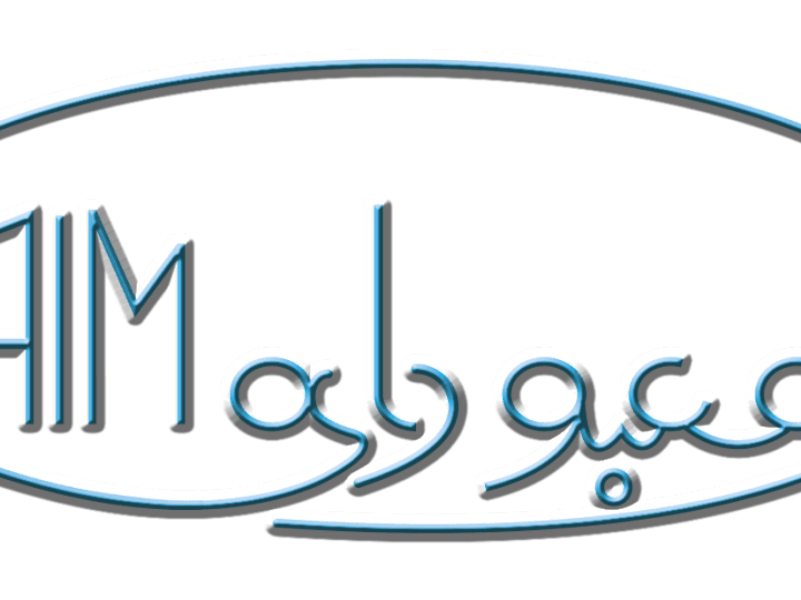 Cover image for Designer