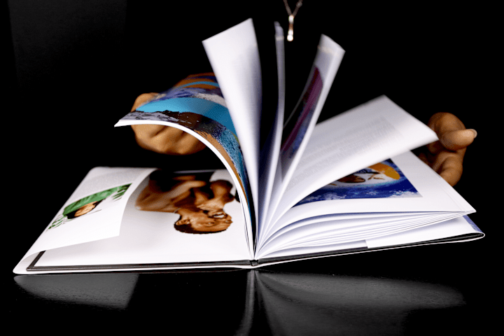 Cover image for Visionary Canvas A Creative Collaboration Publication