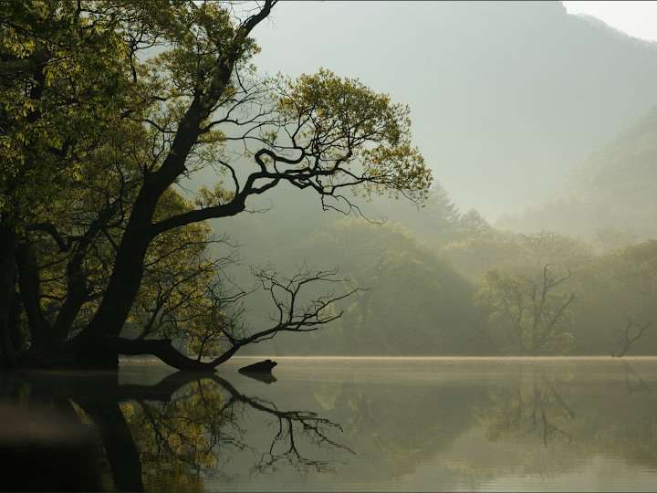 Cover image for Yoga Retreat 