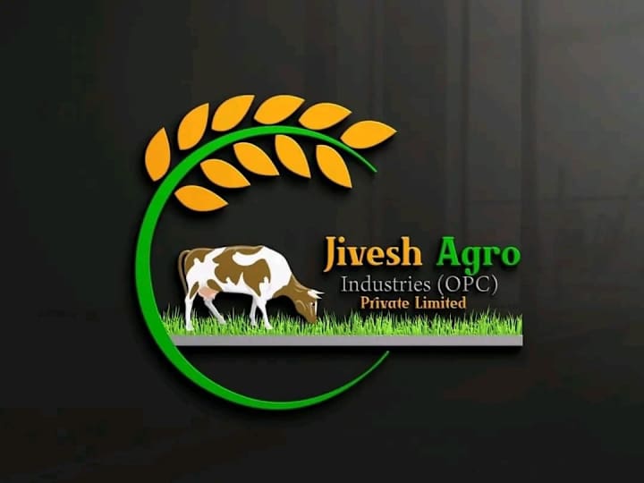 Cover image for Logo Designs 