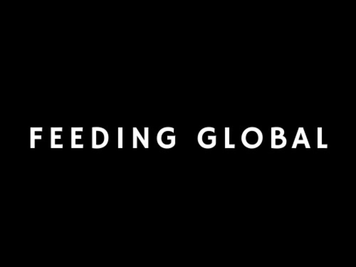 Cover image for Feeding Global