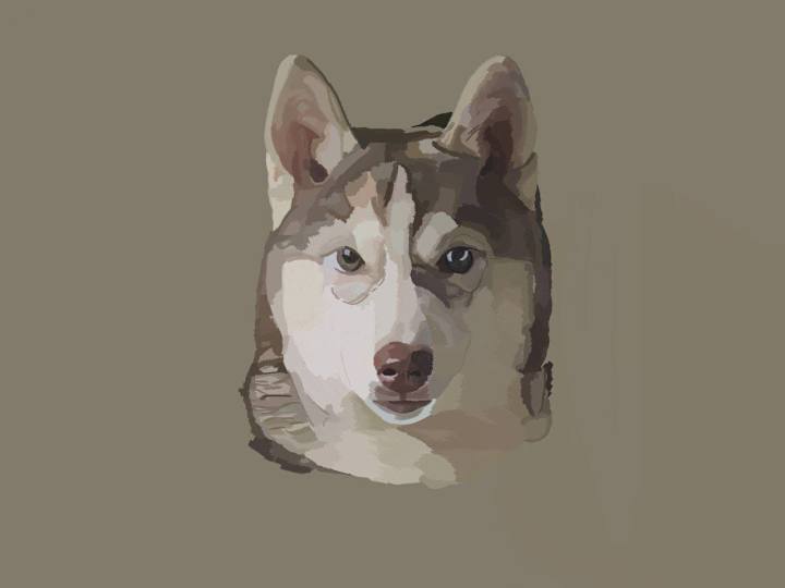 Cover image for Digital Pet Portraits