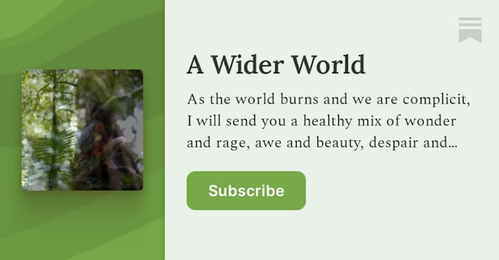 Cover image for A Wider World
