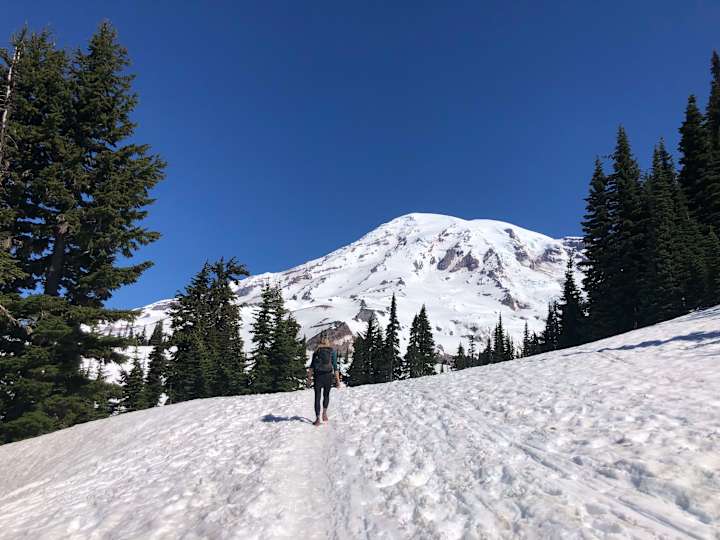 Cover image for Blog: "Spring Experiences in Washington’s National Parks"