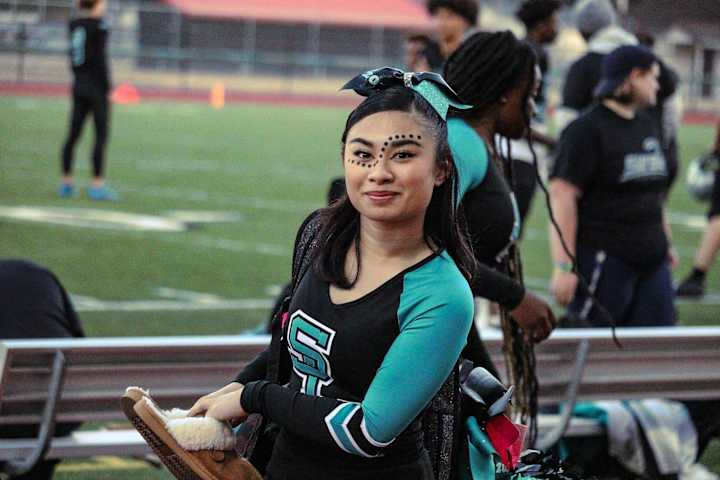 Cover image for SCHOOL SPIRIT 
