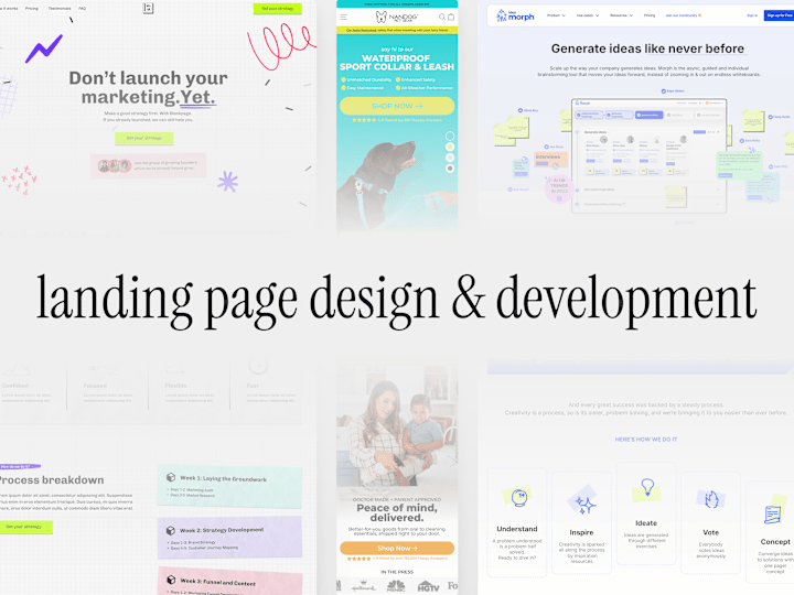 Cover image for _LP_ landing page design -> framer development