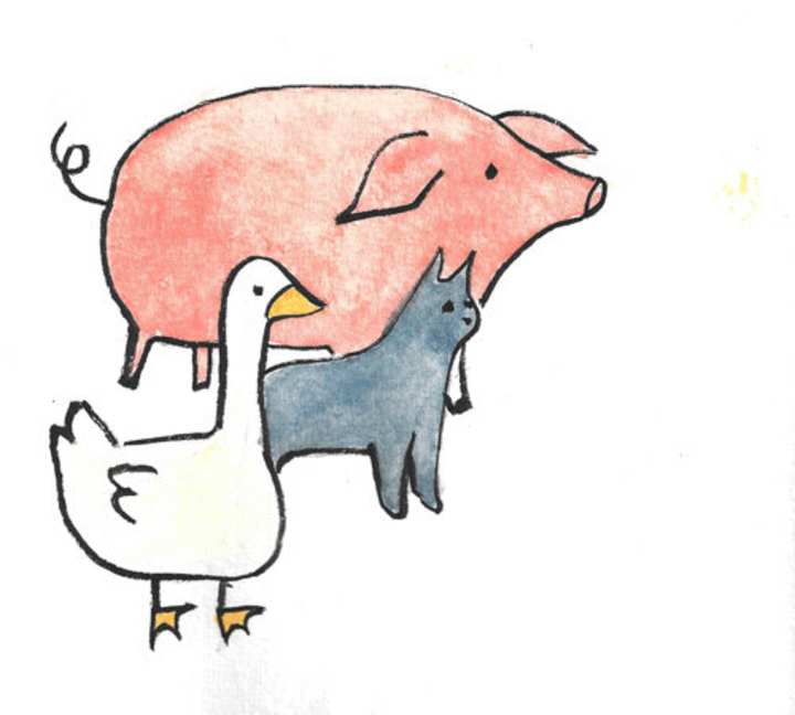 Cover image for Whimsical Children's Book Illustrations