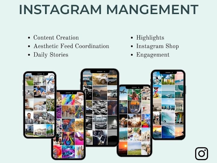 Cover image for Instagram Management