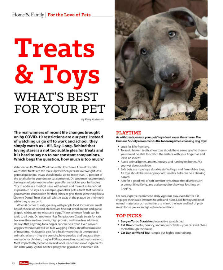 Cover image for Pet Treats & Toys